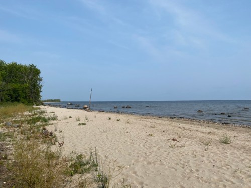 A serene beach scene with sandy shore, gentle waves, and greenery along the coastline under a clear blue sky.