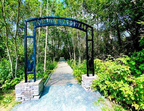 A metal archway welcomes visitors to a wooded path surrounded by greenery and trees.