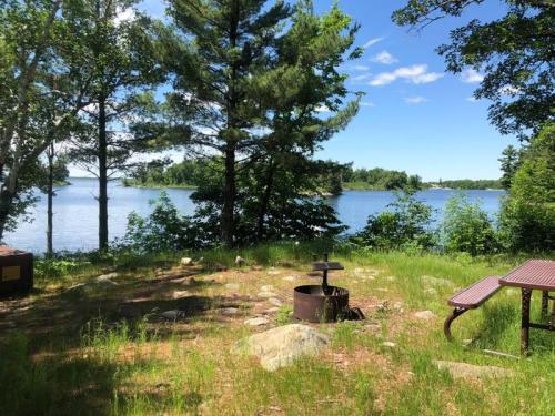 A serene lakeside view with trees, a fire pit, and a picnic table under a clear blue sky.
