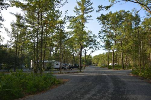 A gravel road lined with trees, leading to a campsite with RVs and vehicles in a wooded area.