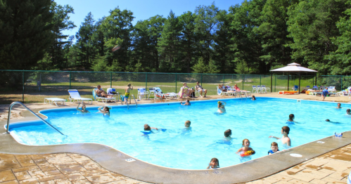 A sunny outdoor pool scene with people swimming and lounging on chairs, surrounded by trees and a fence.