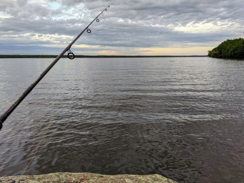 A fishing rod extends over calm water, with a cloudy sky and trees lining the distant shore.