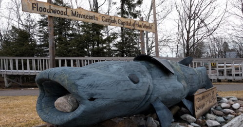Wooden catfish sculpture with a sign reading "Floodwood, Minnesota - Catfish Capital of the World" in a grassy area.