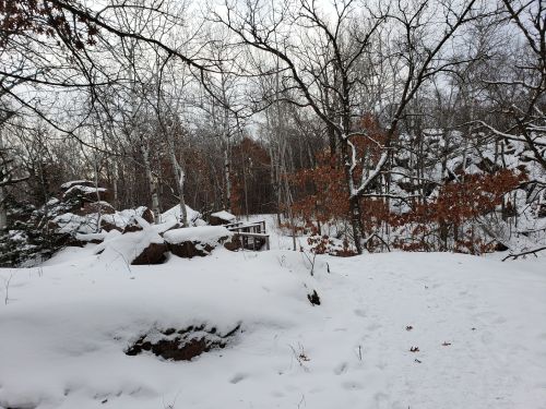 A snowy landscape with bare trees and scattered rocks, featuring a path leading into a winter forest.