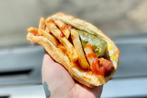 A hand holding a hot dog topped with fries, pickles, and ketchup in a bun.