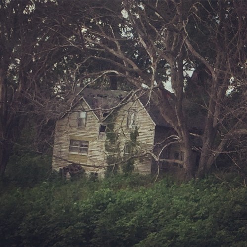 An abandoned, weathered house partially hidden by overgrown trees and shrubs, with a dilapidated roof and peeling paint.