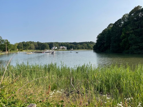 A serene river scene with lush greenery, a dock, and a distant white building surrounded by trees under a clear sky.