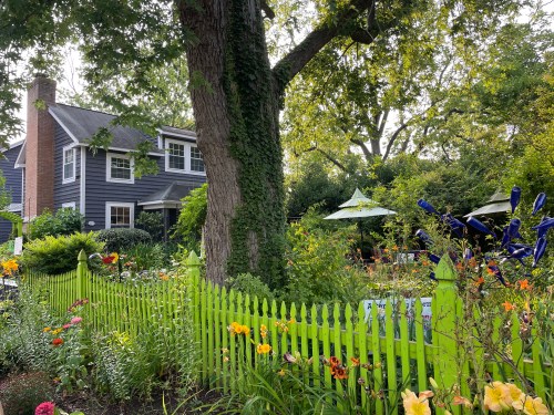 A charming house with blue siding surrounded by a vibrant garden and a bright green picket fence.