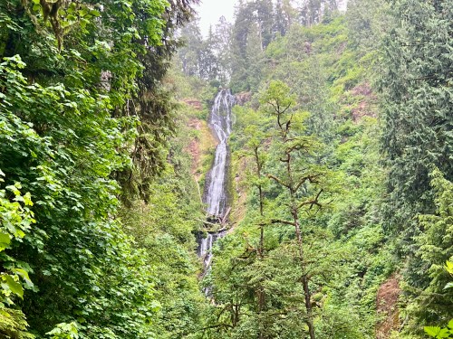 A serene waterfall cascades down a lush, green hillside surrounded by dense trees and foliage.
