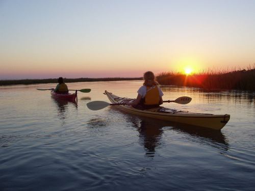 Two kayakers paddle on calm water at sunset, surrounded by tall grass and a colorful sky.