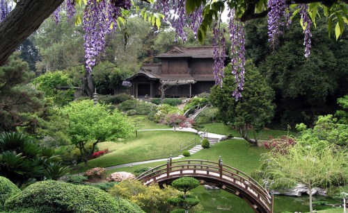 A serene garden with lush greenery, a wooden bridge, and a traditional house, adorned with purple wisteria blossoms.