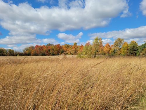 A scenic view of a grassy field with colorful autumn trees under a partly cloudy blue sky.