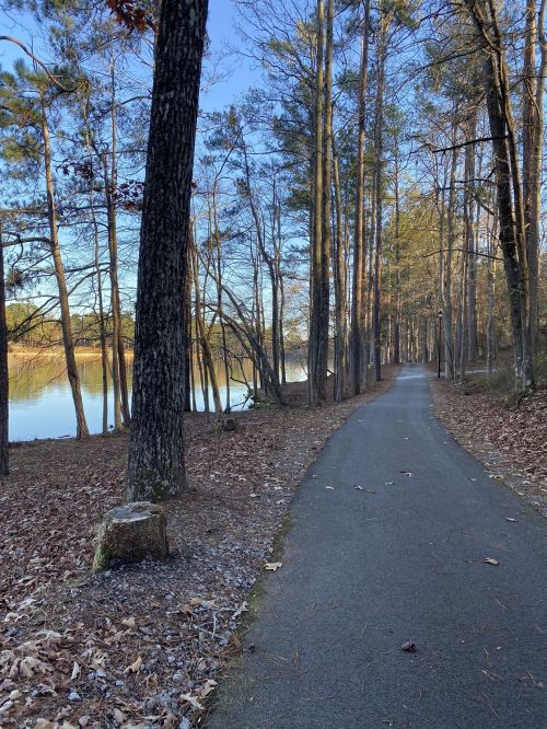A serene path lined with trees beside a calm lake, under a clear blue sky.