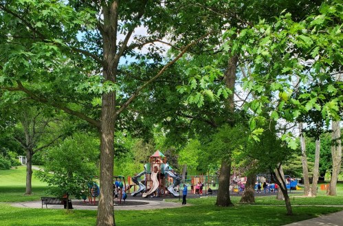 A vibrant playground surrounded by lush green trees, with children playing on slides and climbing structures.