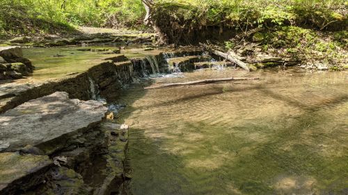 A serene stream flows over rocky ledges, surrounded by lush greenery and dappled sunlight.