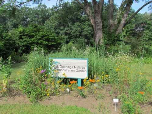 Sign for the "Oak Openings Natives Demonstration Garden" surrounded by lush greenery and colorful flowers.