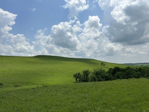 Lush green hills under a blue sky with fluffy clouds, surrounded by trees and open fields.