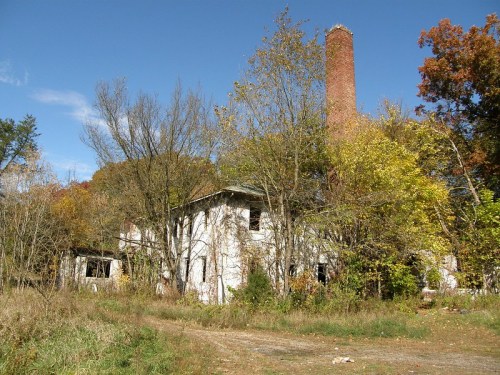 Abandoned building surrounded by overgrown trees and foliage, with a tall brick chimney against a clear blue sky.