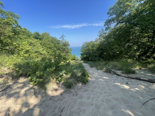 A sandy path leads through lush greenery to a serene blue lake under a clear sky.