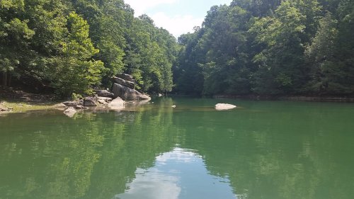 A serene lake surrounded by lush green trees, with rocks partially submerged in the calm water reflecting the landscape.