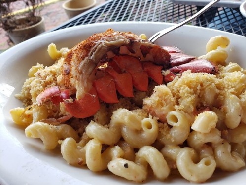A plate of macaroni and cheese topped with a large lobster tail and breadcrumbs, served on a table.