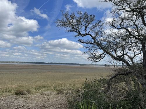 A serene landscape featuring a marshy area, blue sky, and scattered clouds, with a tree in the foreground.