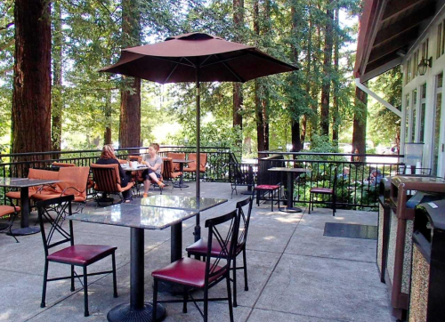 A cozy outdoor patio with tables and chairs, surrounded by tall trees, where two people are enjoying a conversation.