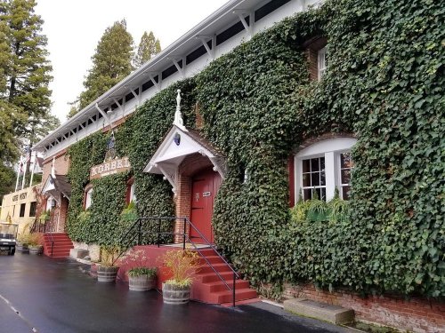 A brick building covered in green ivy, with a red door and steps, surrounded by trees and a wet pavement.