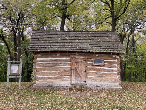 A rustic log cabin with a wooden door, surrounded by trees and fallen leaves in a serene outdoor setting.