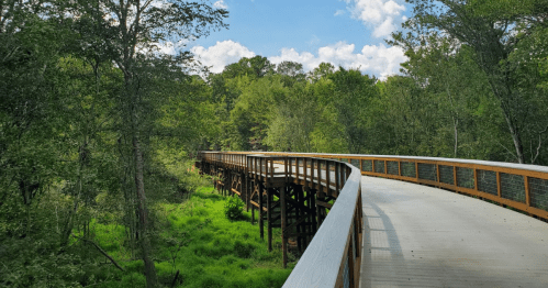 A winding wooden boardwalk through lush green trees and vegetation under a blue sky with scattered clouds.