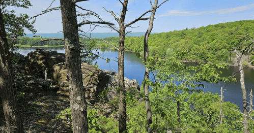A serene view of a lake surrounded by lush green trees and rocky outcrops under a clear blue sky.