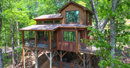A wooden treehouse with large windows, elevated on stilts, surrounded by lush green trees.