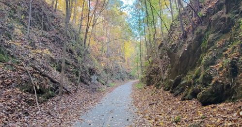 A winding path through a forested area with colorful autumn leaves and rocky cliffs on either side.