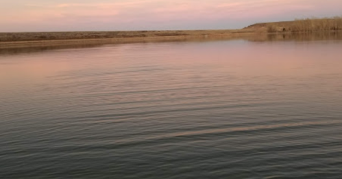 Calm water reflecting a pastel sky, with a distant shoreline and sparse trees at sunset.