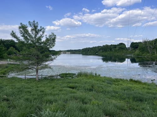A serene lake surrounded by greenery and trees, with a clear blue sky and fluffy clouds above.