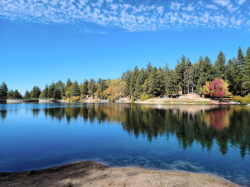 A serene lake surrounded by trees, reflecting a clear blue sky and colorful autumn foliage.