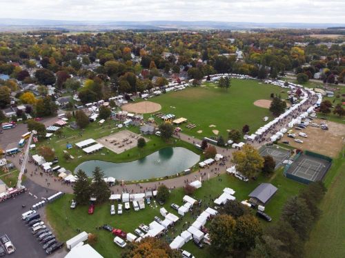 Aerial view of a park with a pond, surrounded by trees and tents, bustling with people at a community event.