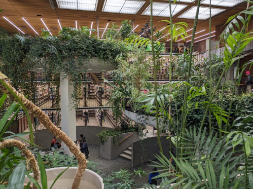 A modern library filled with greenery, featuring multiple levels of bookshelves and people exploring the space.