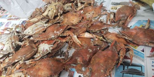 A pile of cooked crabs on a table covered with newspaper.