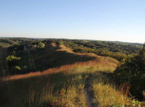 A scenic view of rolling hills covered in green grass and trees under a clear blue sky.