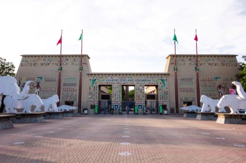 Entrance to the Memphis Zoo and Aquarium, featuring Egyptian-themed architecture and sculptures of elephants and lions.