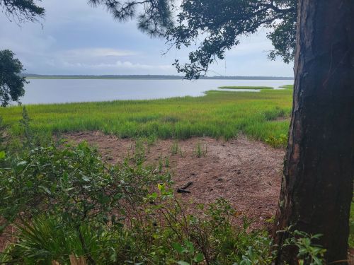 A serene view of a calm lake surrounded by lush green grass and trees under a cloudy sky.