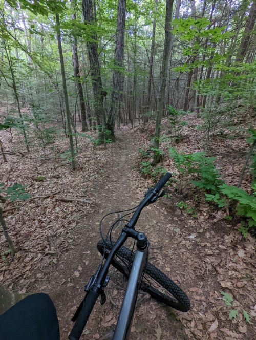 A mountain bike on a narrow dirt trail surrounded by lush green trees in a forest.
