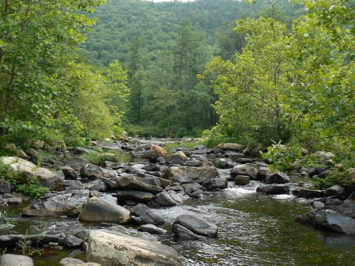 A serene river flows through a rocky landscape, surrounded by lush green trees and hills in the background.