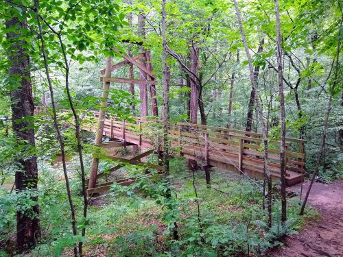 A wooden bridge surrounded by lush green trees in a serene forest setting.