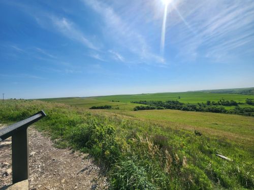 A panoramic view of lush green fields under a clear blue sky, with a sun shining brightly in the corner.