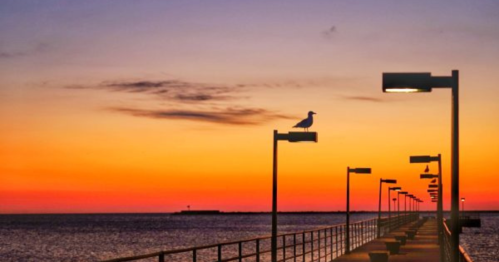 A serene sunset over a pier, with a seagull perched on a lamp post and vibrant colors in the sky.