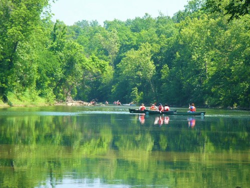 A serene river scene with rowers in boats surrounded by lush green trees and calm water reflecting the landscape.