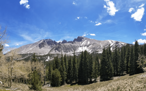 A panoramic view of rugged mountains under a bright blue sky, surrounded by green pine trees and patches of snow.