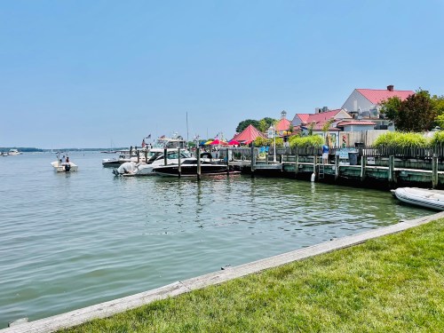 A sunny waterfront scene with boats docked, colorful buildings, and green grass along the shore.